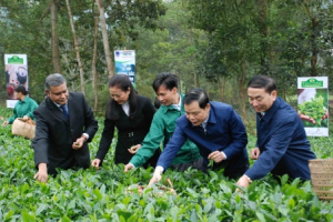 Bộ trưởng NNPTNT: 93 triệu dân phải được dùng thực phẩm sạch nhất