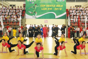 Khai mạc Giải Bóng đá Hội khỏe Phù Đổng học sinh Tiểu học và THCS toàn quốc, khu vực I