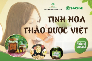 Trà thảo dược dùng sao cho hiệu quả?