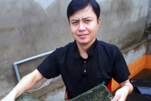 Ngỡ ngàng với mô hình cho chạch quê sinh sản thành công