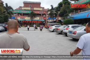 Bát nháo thị trường thuốc đông y (Kỳ 1): Truyền thông “bẩn” tiếp tay cho “thần y” dỏm