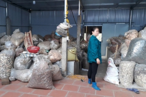 Truyền thông "bẩn" tiếp tay cho "thần y" dỏm (kỳ cuối): Bịp bợm công nghệ “thổi” “thần y”