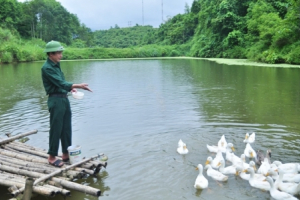 Người thương binh dựng cơ nghiệp giữa vùng rốn lũ nơi rẻo cao