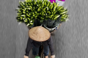 Thu Hà Nội gây thương gây nhớ còn bởi những...gánh hàng rong