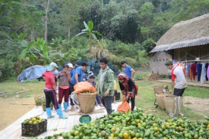 Làng chỉ có hộ giàu