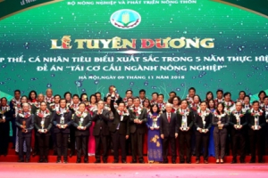 Vinh danh 138 cá nhân, đơn vị xuất sắc trong thực hiện tái cơ cấu nông nghiệp
