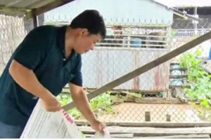 Cá lăng nha giá trị kinh tế cao được nông dân nhân giống thành công
