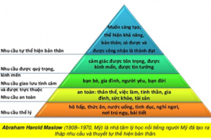 Tháp nhu cầu Maslow: vì sao lương cao không giữ được nhân sự?