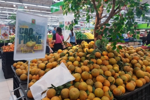 Hà Nội triển khai công tác an toàn thực phẩm dịp Tết Kỷ Hợi 2019