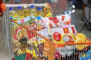 Tập đoàn KIDO đã nắm chi phối 51% vốn Golden Hope Nhà Bè 