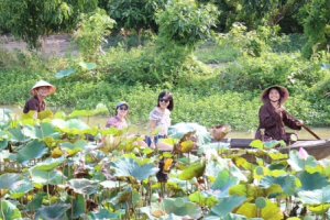Tăng cường hoạt động truyền thông về du lịch