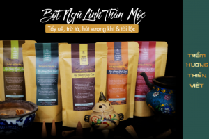 Bất ngờ với Bột Ngũ Linh Thần Mộc mang giá trị tâm linh đặc biệt của Trầm Hương Thiền Việt.