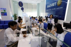 Dự báo thị trường tài chính Việt Nam năm 2019