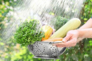 Rửa rau như thế nào để loại bỏ thuốc trừ sâu gây hại