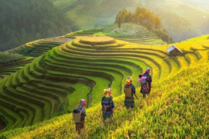 Cảnh sắc Việt Nam quyến rũ và thân thương trên hàng loạt các trang báo nước ngoài