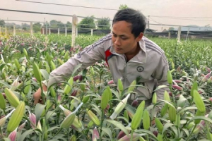 Vườn hoa tiền tỷ của chàng công nhân gác tàu xứ Thanh