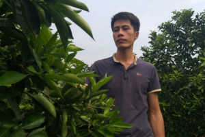 Bỏ lương hơn chục triệu/tháng, trai 8x về làm giàu từ cây ăn quả