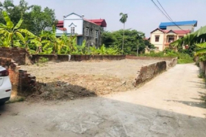 150 triệu đồng/m2 đất rìa làng: Sốt đất ngoại thành, cơn say và cái bẫy
