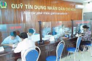 Thủ tướng chỉ thị củng cố vững chắc hệ thống Quỹ Tín dụng nhân dân, xử lý dứt điểm các Quỹ yếu kém