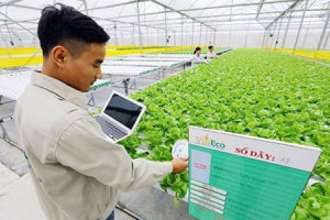 Tiếp cận người dùng công nghệ tại nông thôn Việt Nam