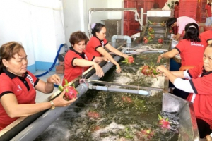 Mở đường “xuất ngoại” cho nông sản Việt