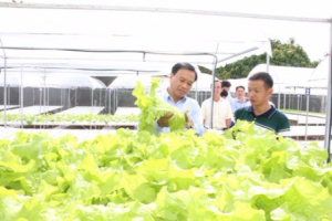 Những mô hình hữu cơ tiền tỉ ở ĐBSCL
