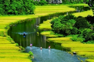 Mùa vàng Tam Cốc đẹp ngỡ ngàng từ đỉnh "Vạn lý trường thành Việt Nam"