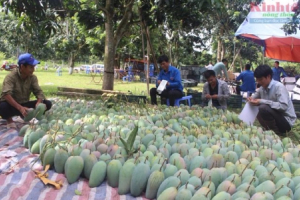 Phát triển CĂQ gắn với xây dựng thương hiệu: Cách làm của Sơn La