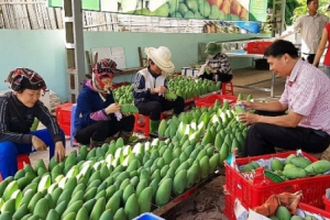 Xuất khẩu rau, quả giữ tăng trưởng ổn định
