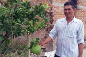 Ở “chảo lửa” Gia Lai: Cựu chiến binh giỏi làm ăn, hiến đất làm NTM