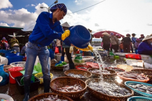 Chợ cá Thợ mỏ