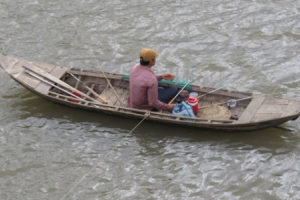 Giăng câu ở phía hạ nguồn
