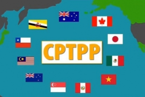 Nhiều sửa đổi quyền bảo hộ sở hữu trí tuệ khi thực thi CPTPP