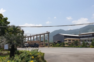 Bịt “kẽ hở”, cứu ngành mía đường