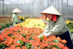 Lan tỏa phong trào phát triển nông nghiệp công nghệ cao