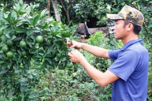 Phấn đấu nông thôn mới miền núi kịp miền xuôi