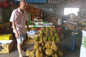 Nông sản đi Trung Quốc: Từ vườn đến biên giới - Đường dài khổ ải