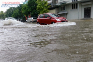 TP. Vinh (Nghệ An): Mưa như trút nước, nhiều con phố, tuyến đường… hóa sông