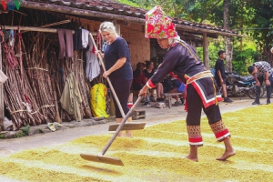 Vùng cao Quảng Ninh thu hút du khách trải nghiệm trong mùa thu