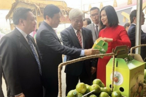 Đưa đặc sản Đồng Tháp đến với TP. Hồ Chí Minh
