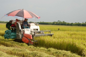 Chính phủ thống nhất chưa giảm giờ làm xuống dưới 48 giờ/tuần