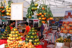 Tuần lễ cam sành, các sản phẩm OCOP và sản phẩm tiêu biểu tỉnh Hà Giang năm 2019