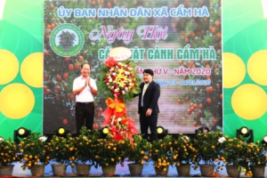 Thương hiệu độc đáo quất cảnh Cẩm Hà – Hội An