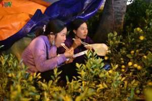 Nhọc nhằn bán đào, quất mưu sinh trong đêm đông Hà Nội