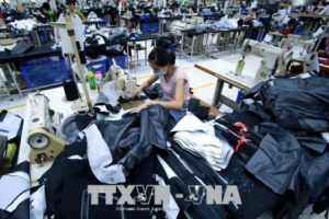 Doanh nghiệp Việt Nam tìm kiếm nguồn hàng dệt may tại Ấn Độ