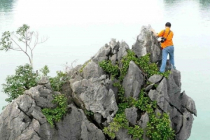 Người trèo bằng tay lên các ngọn núi giữa vịnh Hạ Long chụp ảnh