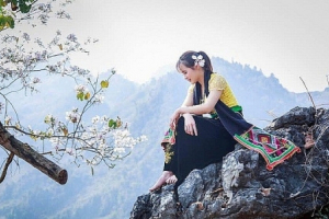 Hoa ban khoe sắc trắng tinh khôi giữa trời Tây Bắc