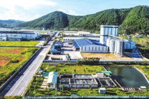 Phát triển KKT Đông Nam Nghệ An thành khu vực kinh tế năng động