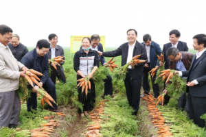 Giữa dịch cúm corona, Bộ NNPTNT hối hả đi "bán" nông sản