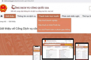 Vi phạm giao thông có thể nộp phạt online từ 12/3